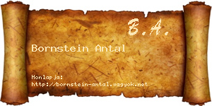 Bornstein Antal névjegykártya