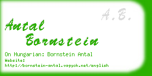 antal bornstein business card